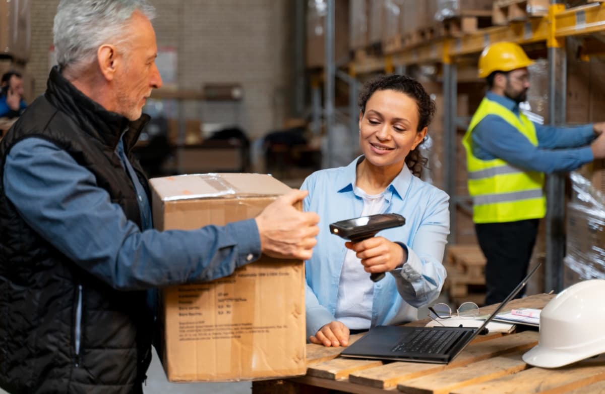 VIDU inventory management overview